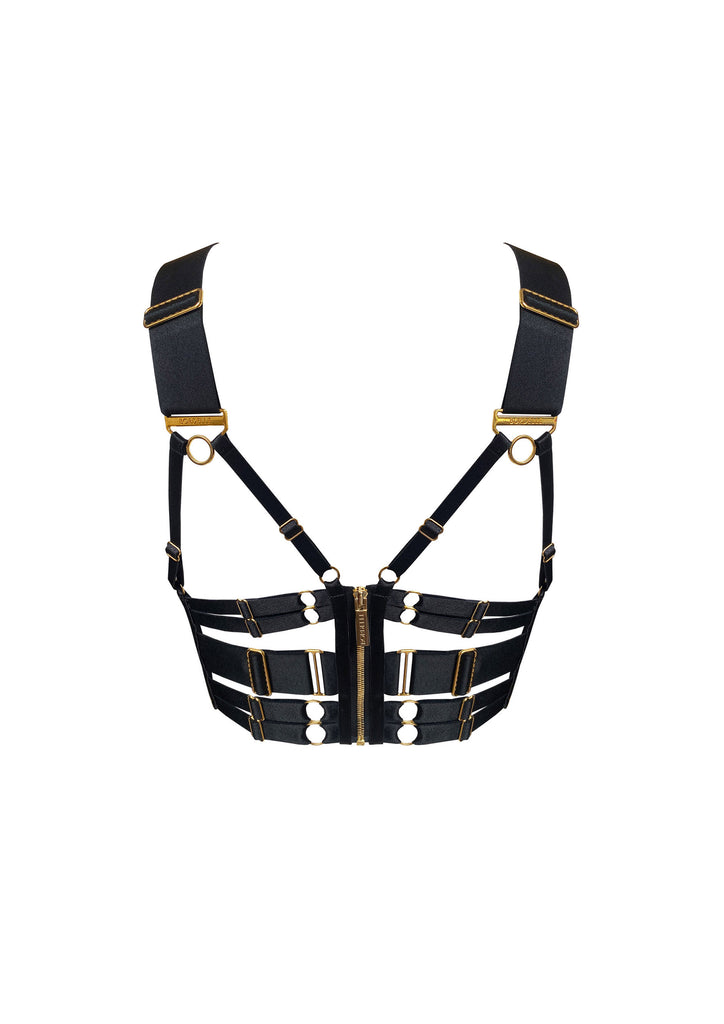 Signature Panel-Bustier-BH 