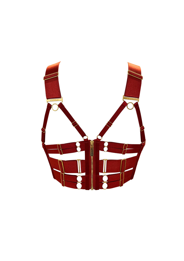 Soutien-Gorge Bustier à Empiècements Signature 