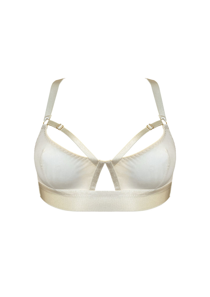 Signature Soft Cup Bra